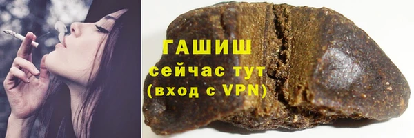 мяу мяу мука Иннополис