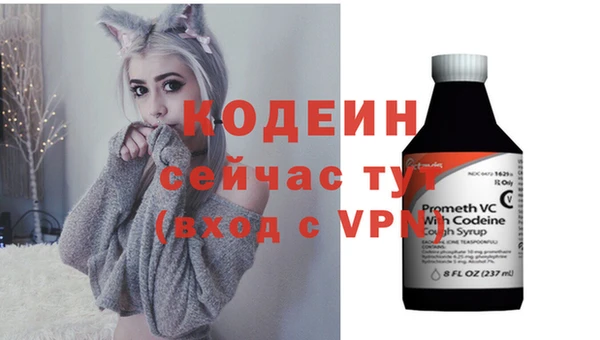мяу мяу мука Иннополис