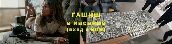 мяу мяу мука Иннополис