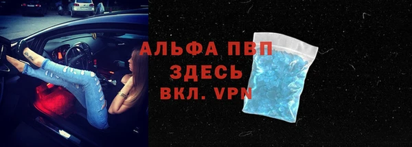 мяу мяу мука Иннополис