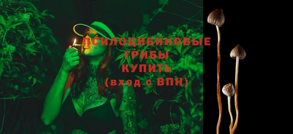 мяу мяу мука Иннополис