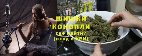 мяу мяу мука Иннополис