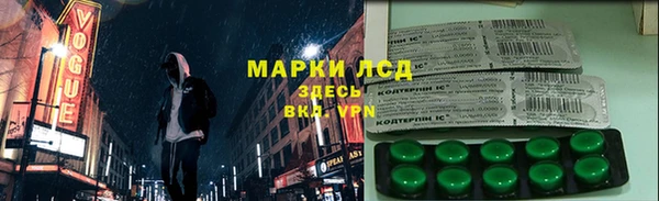 мяу мяу мука Иннополис