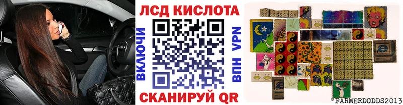 Наркотические марки 1,5мг  дарнет шоп  Элиста 